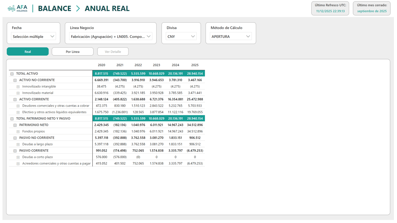 Balance — Balance Anual Real